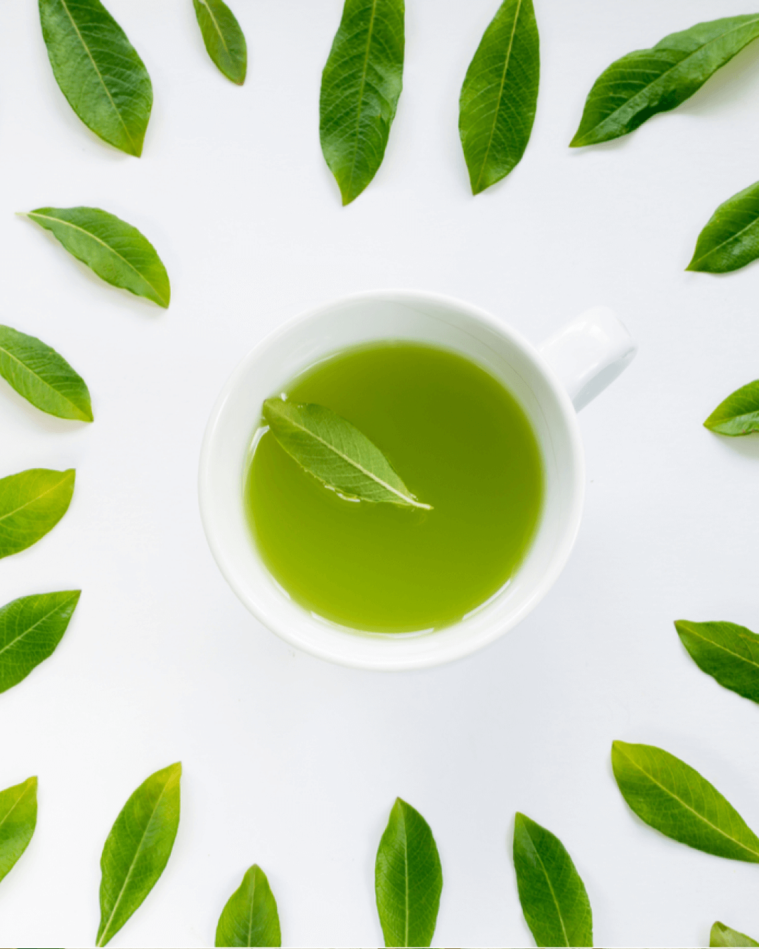 Green tea in a white cup